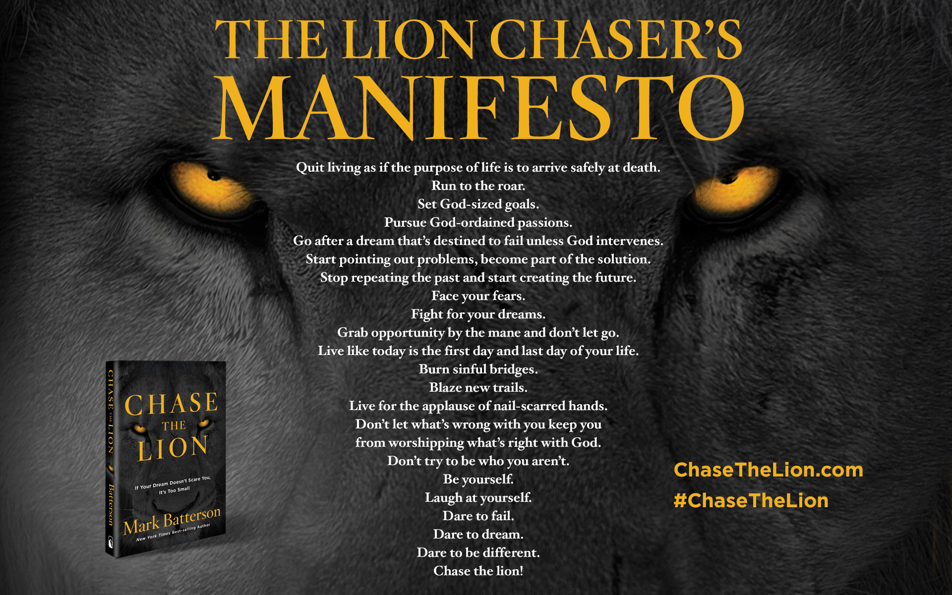 The Lion Chaser's Manifesto - Poster , HD Wallpaper & Backgrounds