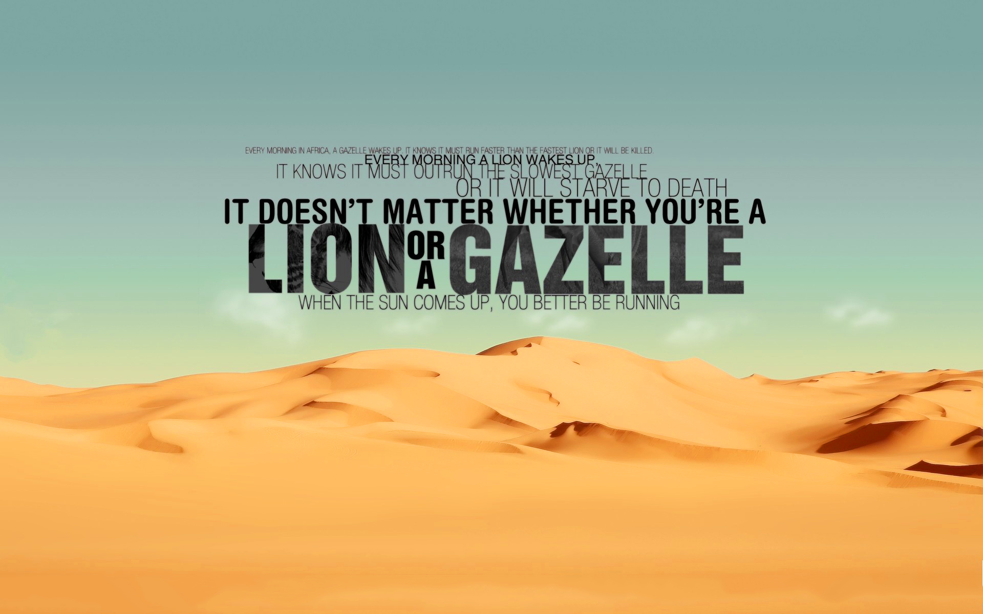Are You Lion Or Gazelle - Doesn T Matter If You Re A Lion Or A G , HD Wallpaper & Backgrounds