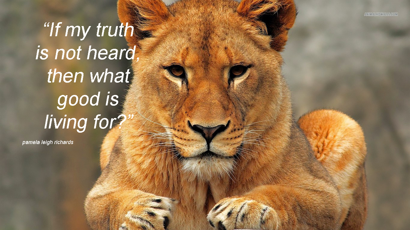 Lioness Motivational Quotes With Pamela Leigh Richards - Female Lion , HD Wallpaper & Backgrounds