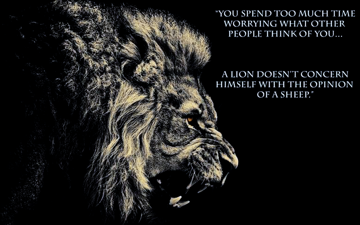 Lion Quotes And Sayings Google Search Best Deal Online - Lions Wallpaper With Quotes , HD Wallpaper & Backgrounds