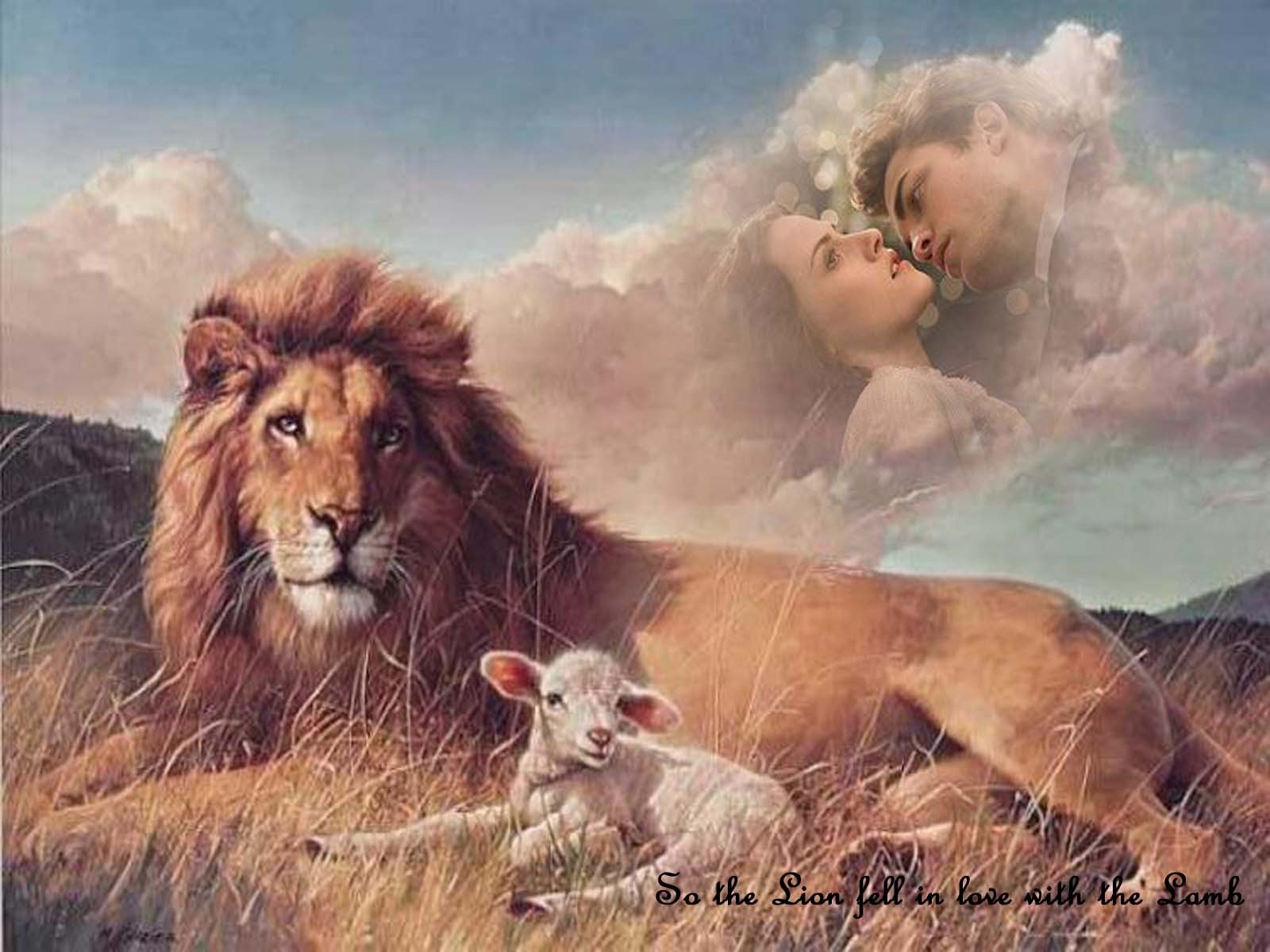 Quote Wallpaper - Lion And The Lamb , HD Wallpaper & Backgrounds