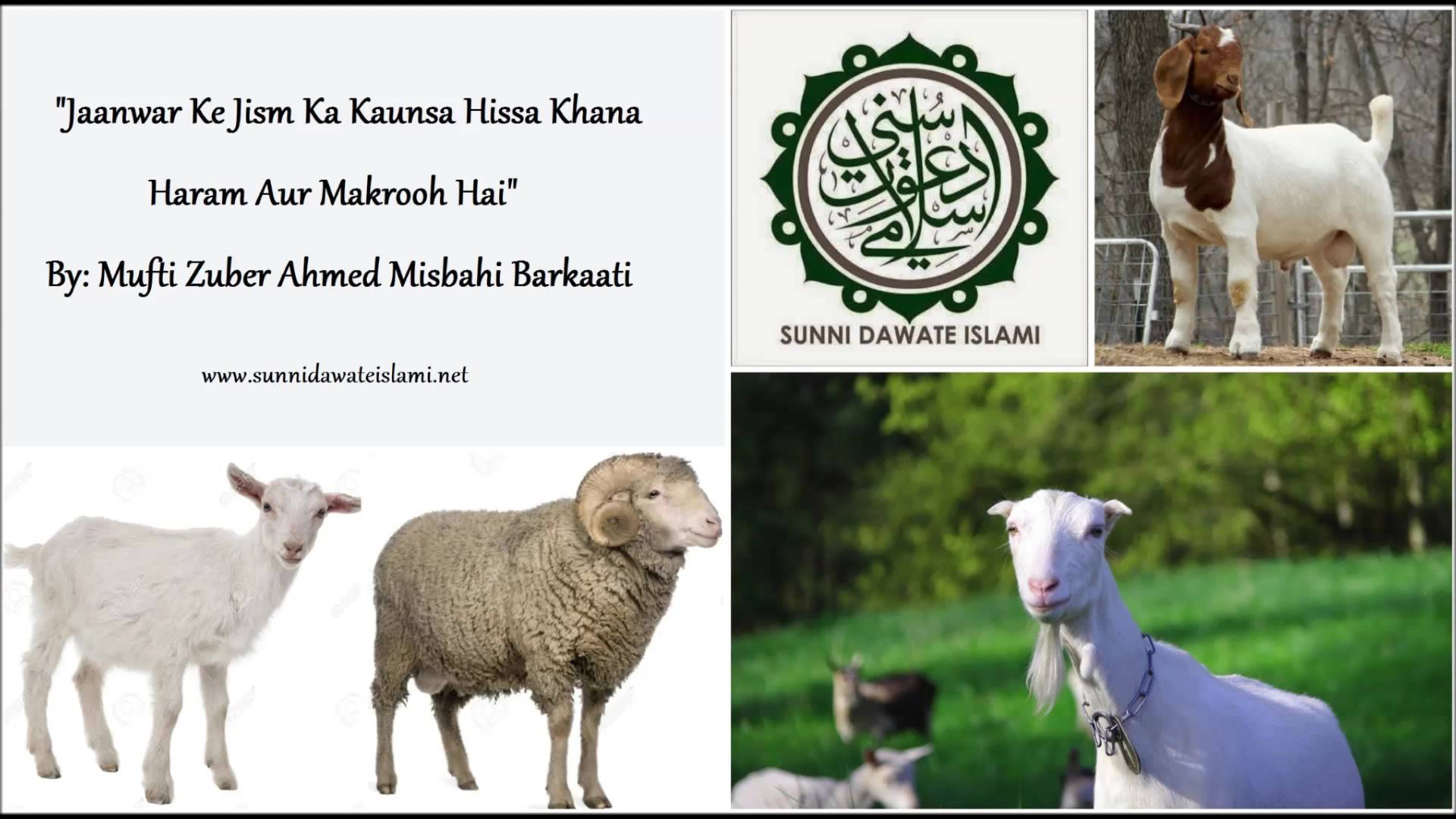 Sunni Dawat-e-islami , HD Wallpaper & Backgrounds