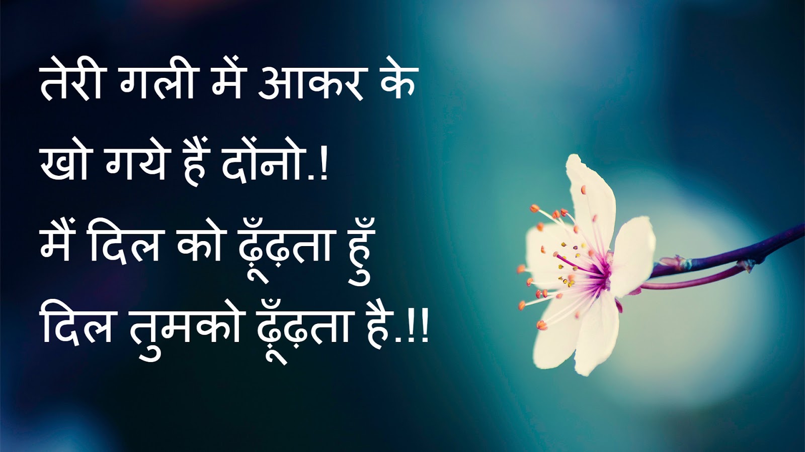 Best Hd Hindi Shayari Image Free Download,hindi Shayari - Don T Compare Yourself With Anyone , HD Wallpaper & Backgrounds