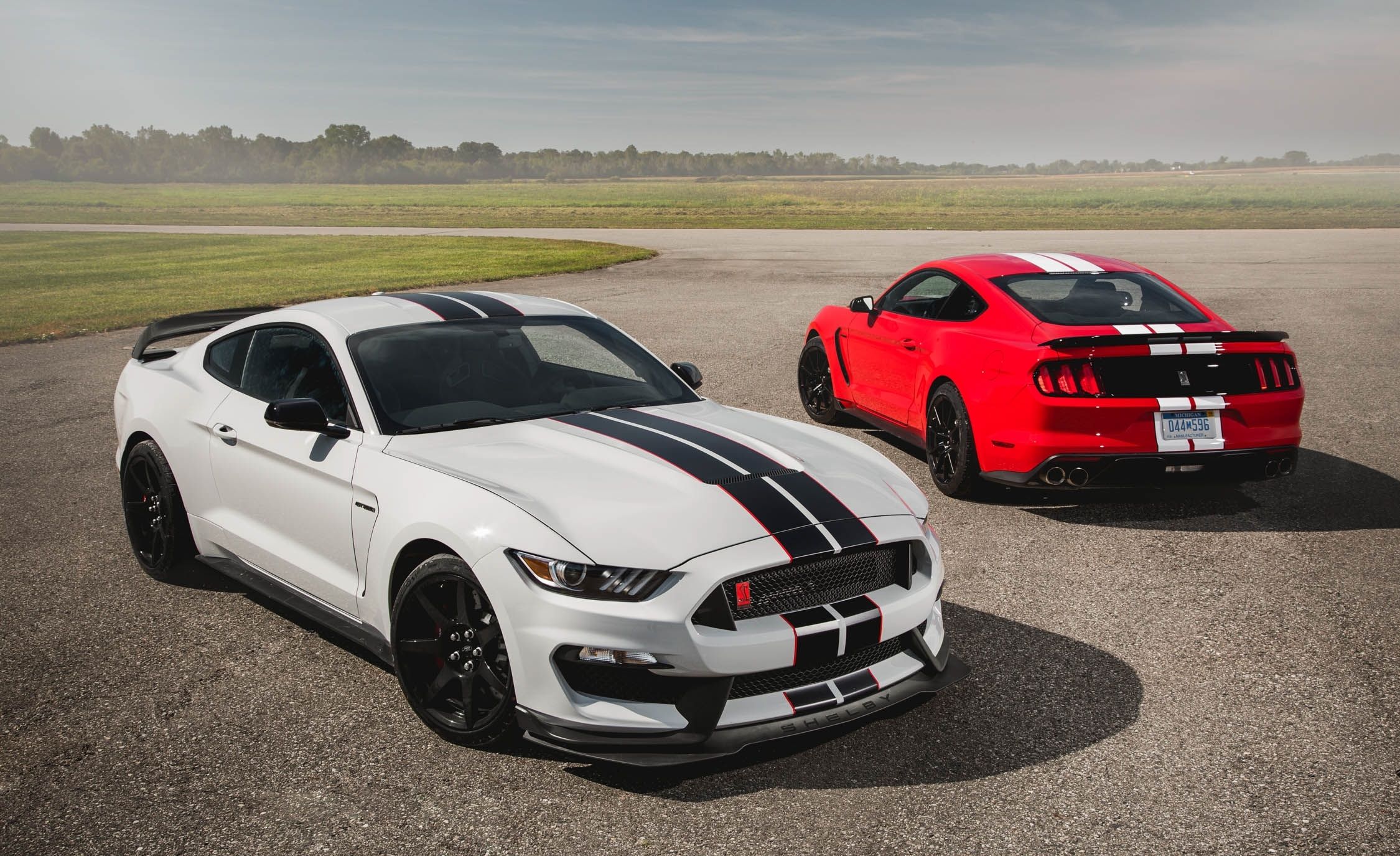 2019 Ford Mustang Shelby Gt350 Wallpapers - 2016 Gt350 Shelby Mustang , HD Wallpaper & Backgrounds