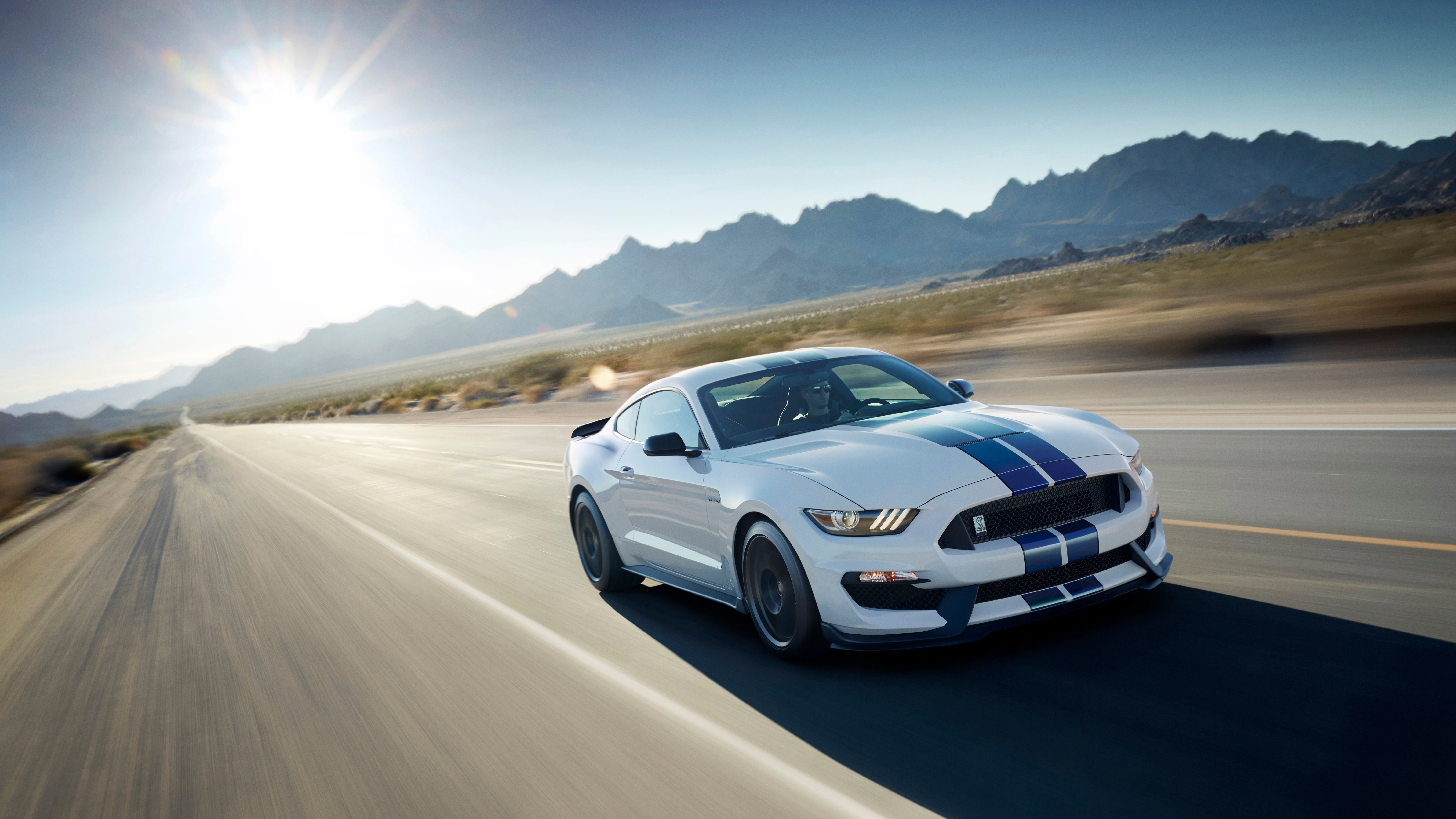 Ford Mustang Shelby Gt500 2016 , HD Wallpaper & Backgrounds