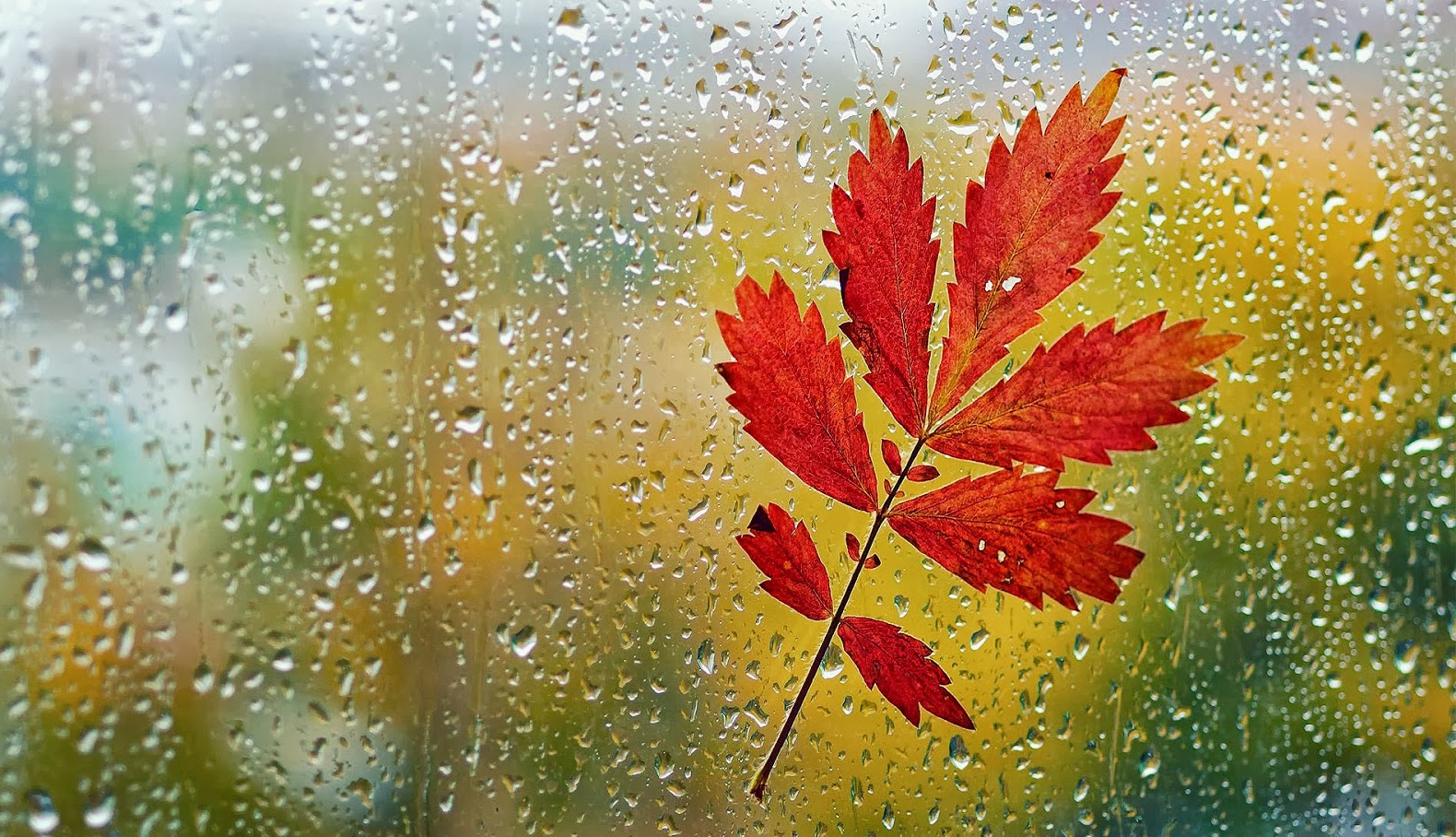 't Is Herfst - Herfst Regen Wind , HD Wallpaper & Backgrounds