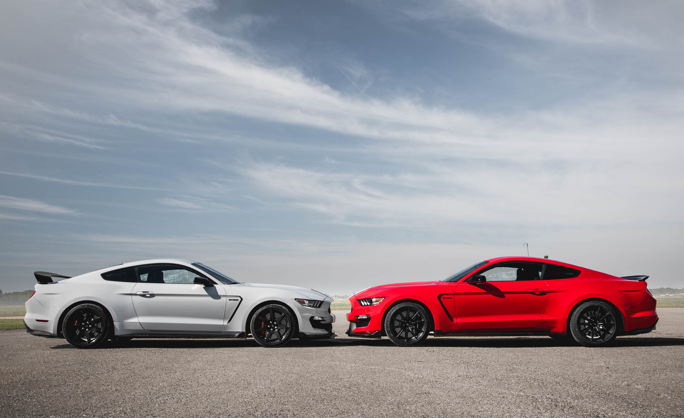 2016 Ford Mustang Shelby Gt350 And 2016 Ford Mustang - Shelby Gt 350 Hd , HD Wallpaper & Backgrounds