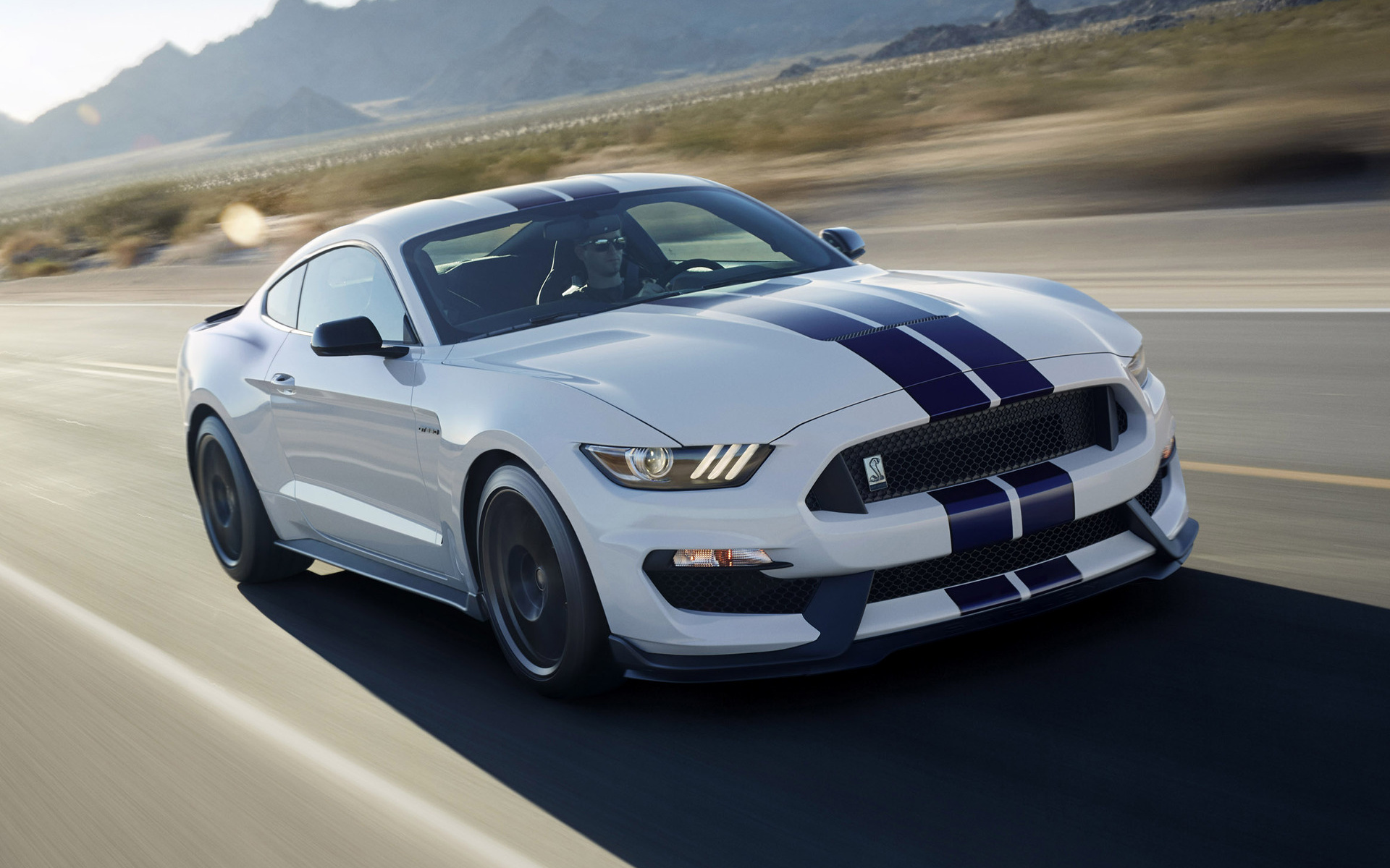 Shelby Gt350 - Ford Mustang Shelby 5.0 , HD Wallpaper & Backgrounds