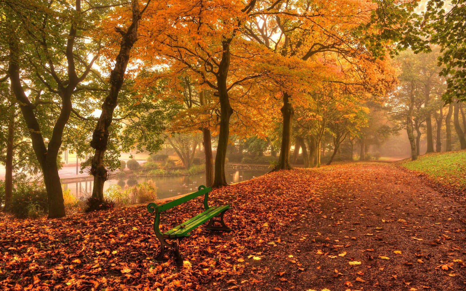 Berichtnavigatie - Hd Wallpaper Herfst (#955372) - HD Wallpaper \u0026  Backgrounds Download, image size:1600x1000