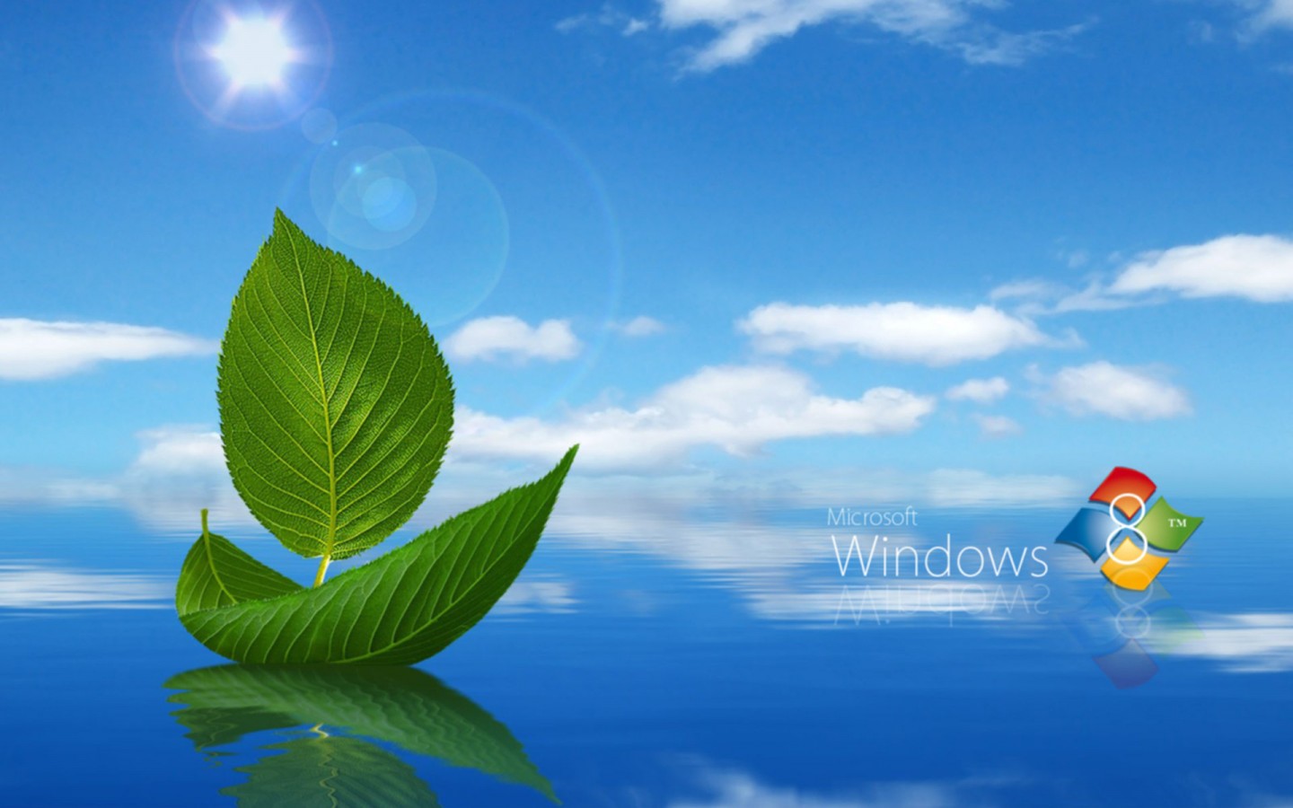 Windows Live Wallpaper Desktop Gallery - Barco Com Folha Verde , HD Wallpaper & Backgrounds