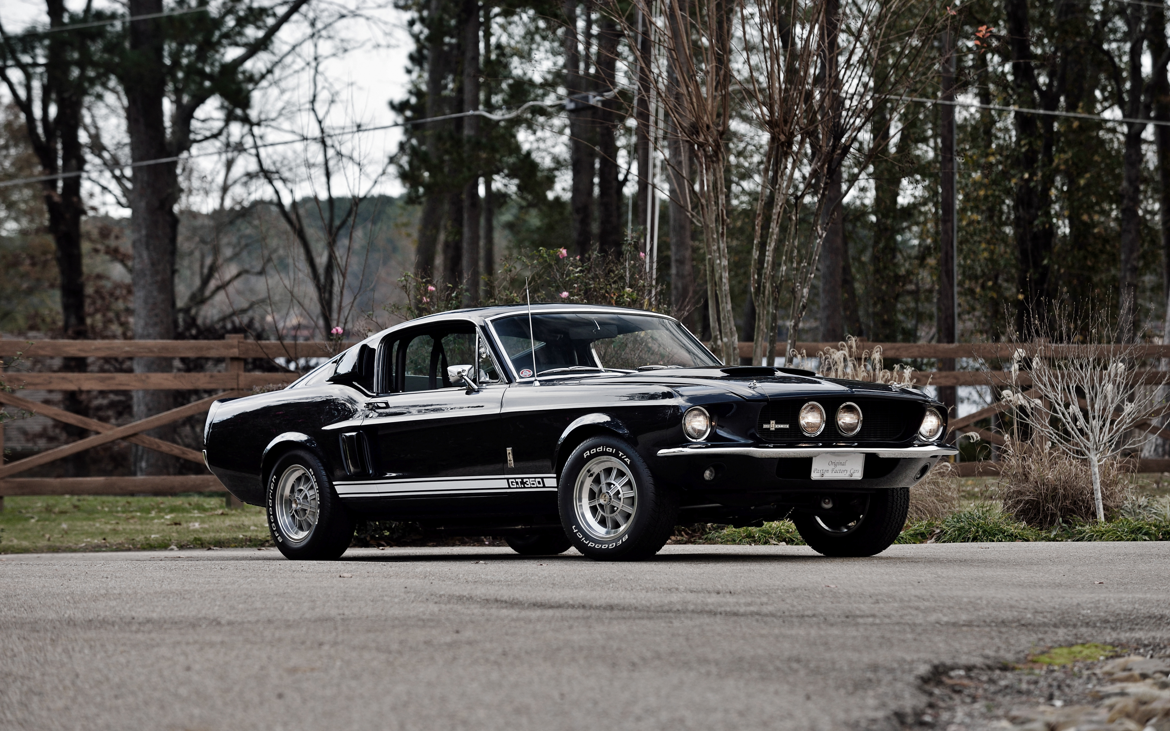 Wallpaper Black, Ford Mustang Shelby Gt350, Muscle - 1967 Mustang Black Gt350 , HD Wallpaper & Backgrounds