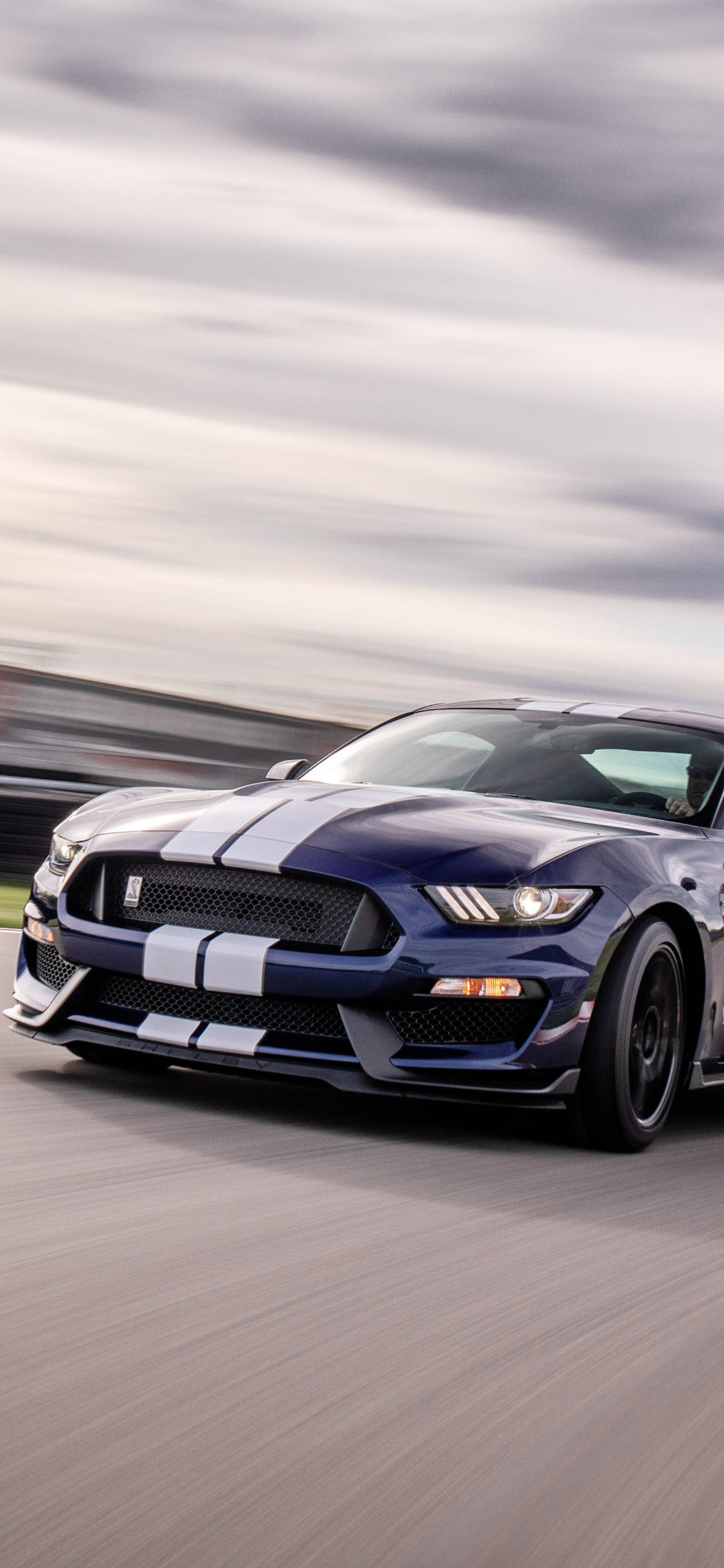 2019 Ford Mustang Shelby Gt350 - 2019 Ford Mustang Gt350r , HD Wallpaper & Backgrounds