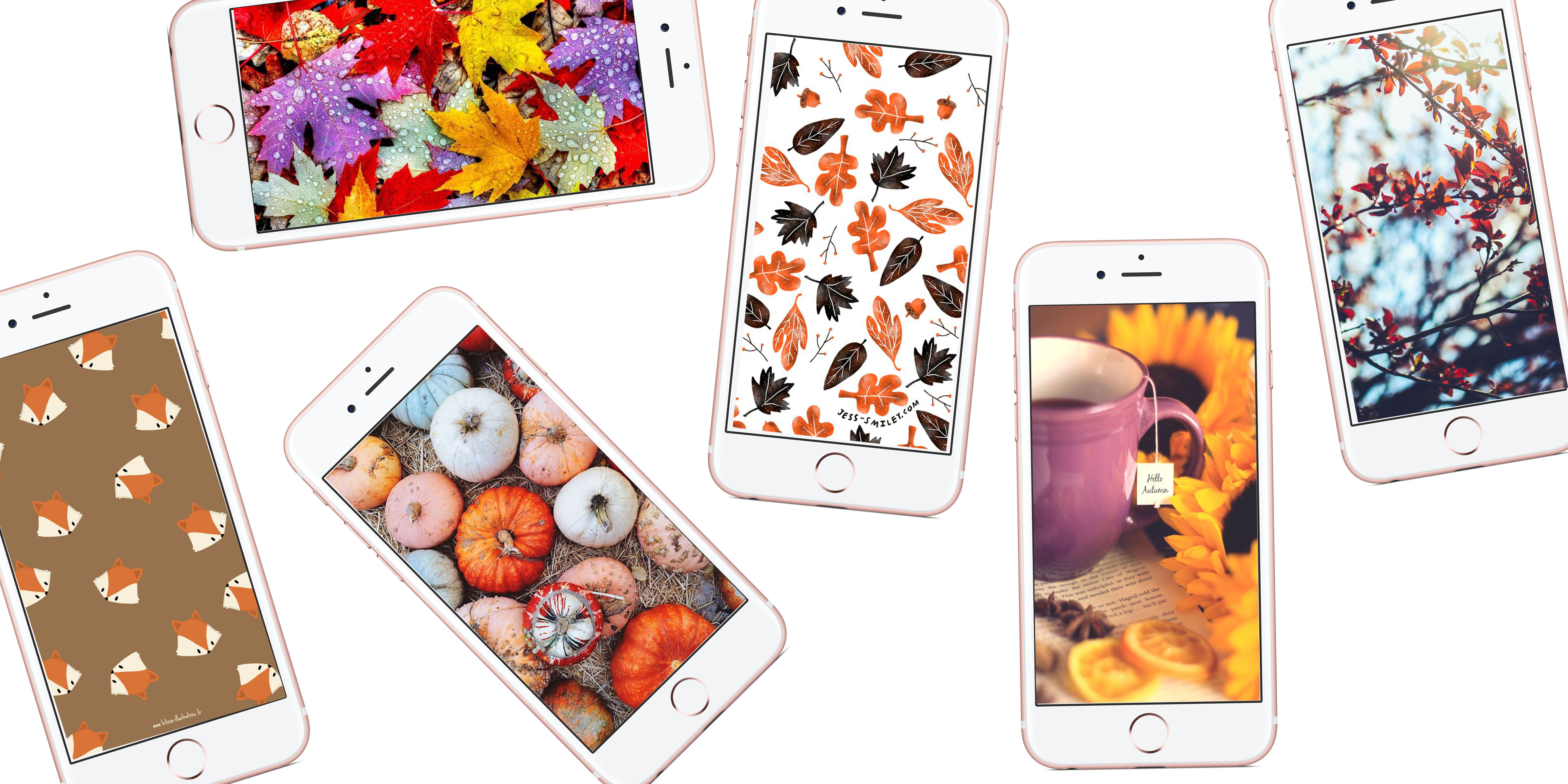Wallpapers Herfst Kimmetjekims - Iphone , HD Wallpaper & Backgrounds