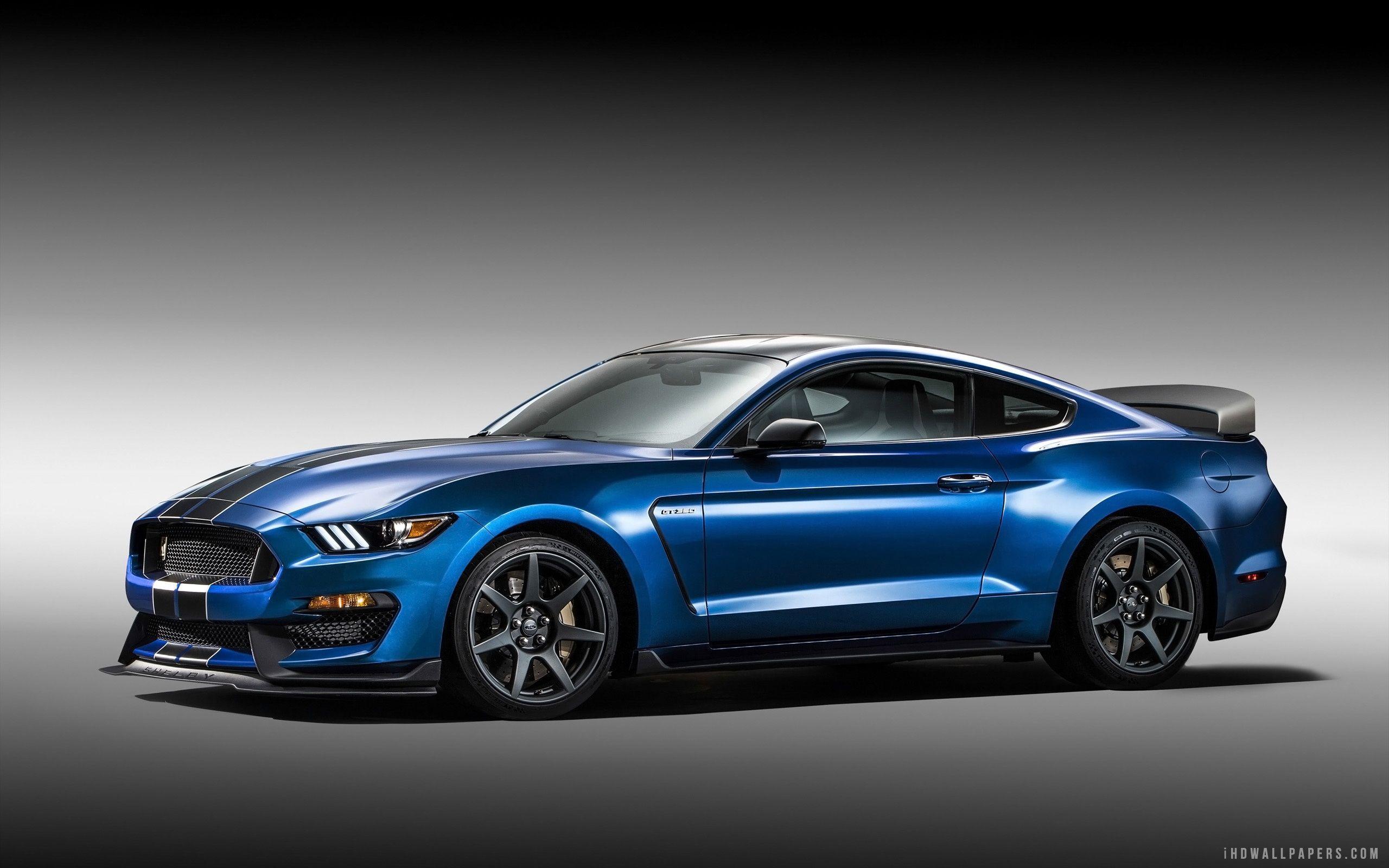 2016 Shelby Gt350 Wallpaper - Ford Mustang Car 2016 , HD Wallpaper & Backgrounds