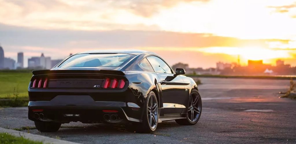 2019 Ford Mustang Gt Front Wallpapers - 2019 Ford Mustang Gt , HD Wallpaper & Backgrounds