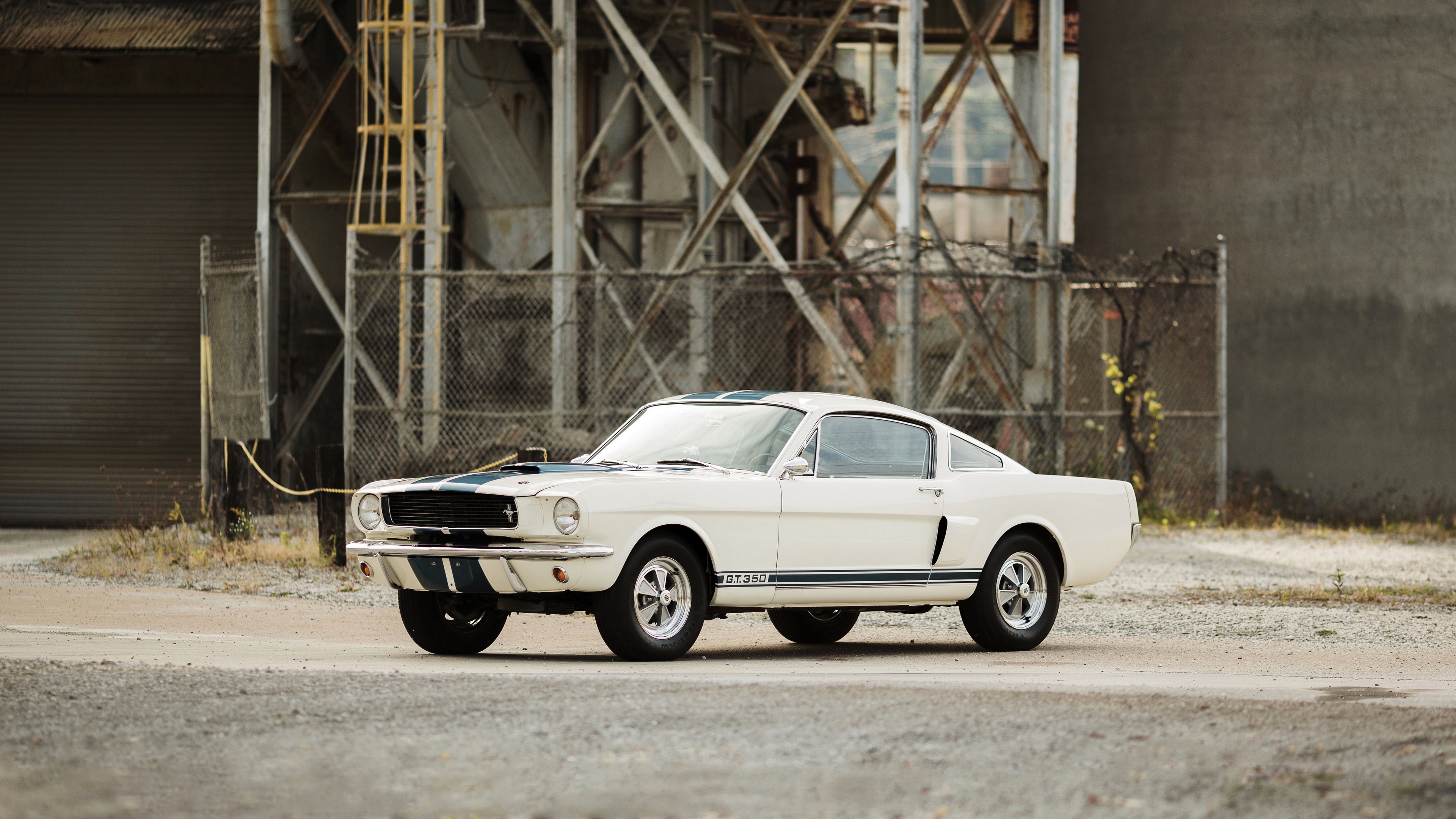 Wallpaper Shelby, Gt350, Ford Mustang, - Gt 350 Mustang 1966 , HD Wallpaper & Backgrounds
