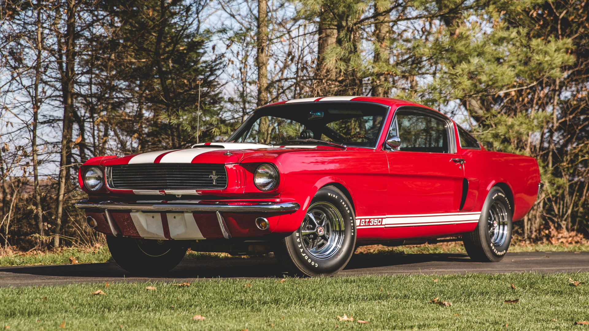 Red, Classic Car, 1966 Shelby Gt350, Wallpaper - First Generation Ford Mustang , HD Wallpaper & Backgrounds