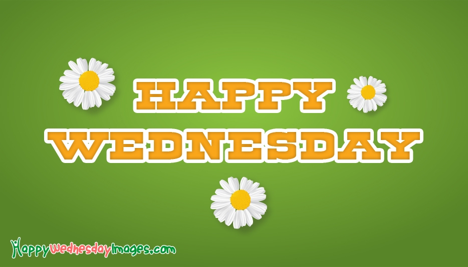 Happy Wednesday Wallpaper - Happy Wednesday , HD Wallpaper & Backgrounds