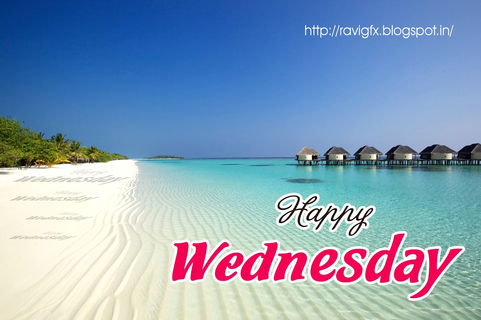 Happy Wednesday Quotes Greetings Wishes Sayings Wednesday - Wednesday Quotes In English , HD Wallpaper & Backgrounds