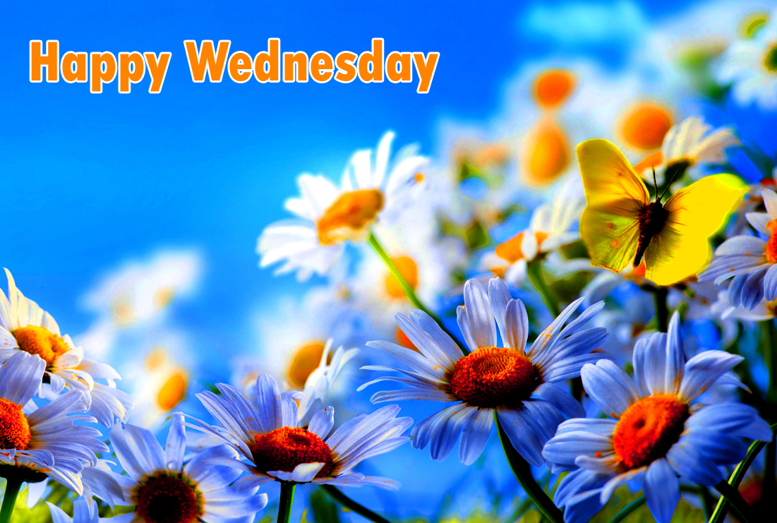 Good Morning Wednesday Images Wallpaper Photo Pics - Spring Wallpaper Widescreen , HD Wallpaper & Backgrounds