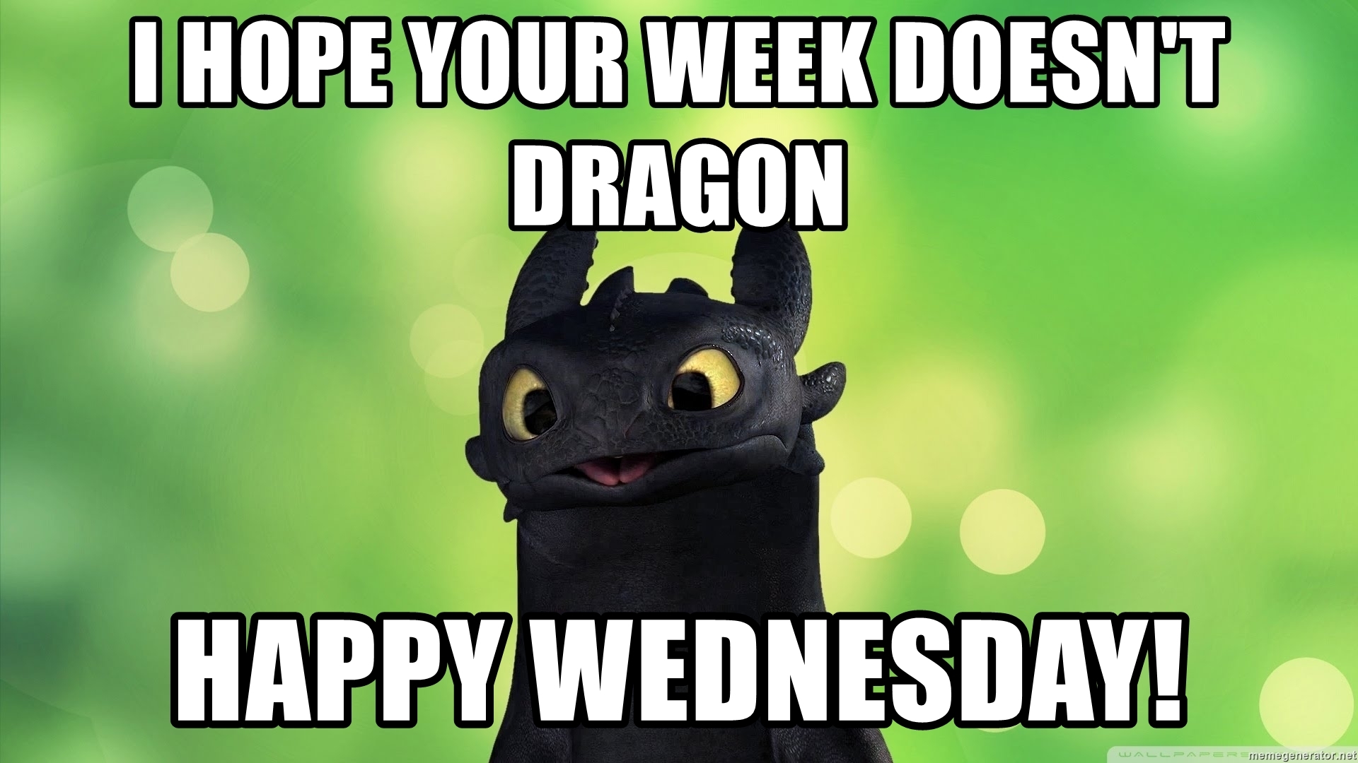 Happy Wednesday Meme , HD Wallpaper & Backgrounds