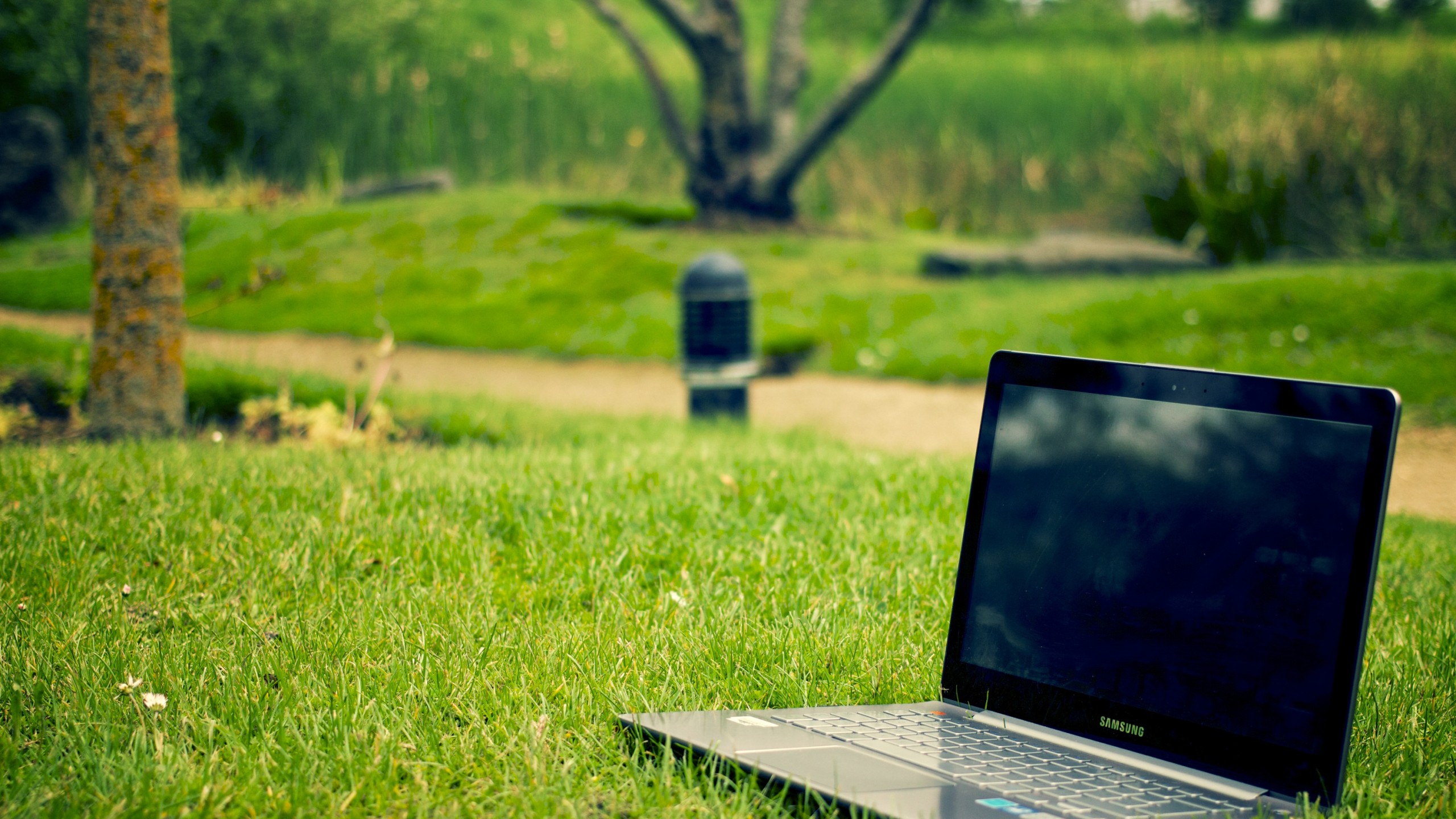 Laptop In Nature Wallpaper - Laptop Hd Wallpapers Nature , HD Wallpaper & Backgrounds