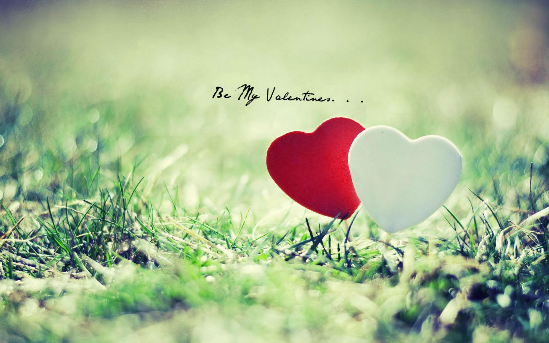 Valentine Wallpaper Free Download - Hd Pics For Whatsapp Profile , HD Wallpaper & Backgrounds