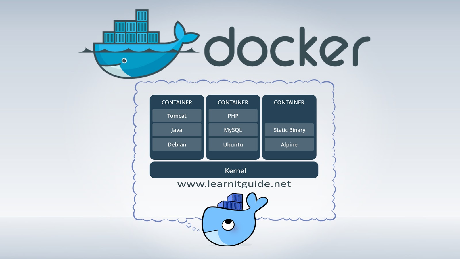 Server Docker , HD Wallpaper & Backgrounds
