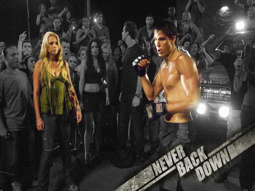 Never Back Down , HD Wallpaper & Backgrounds