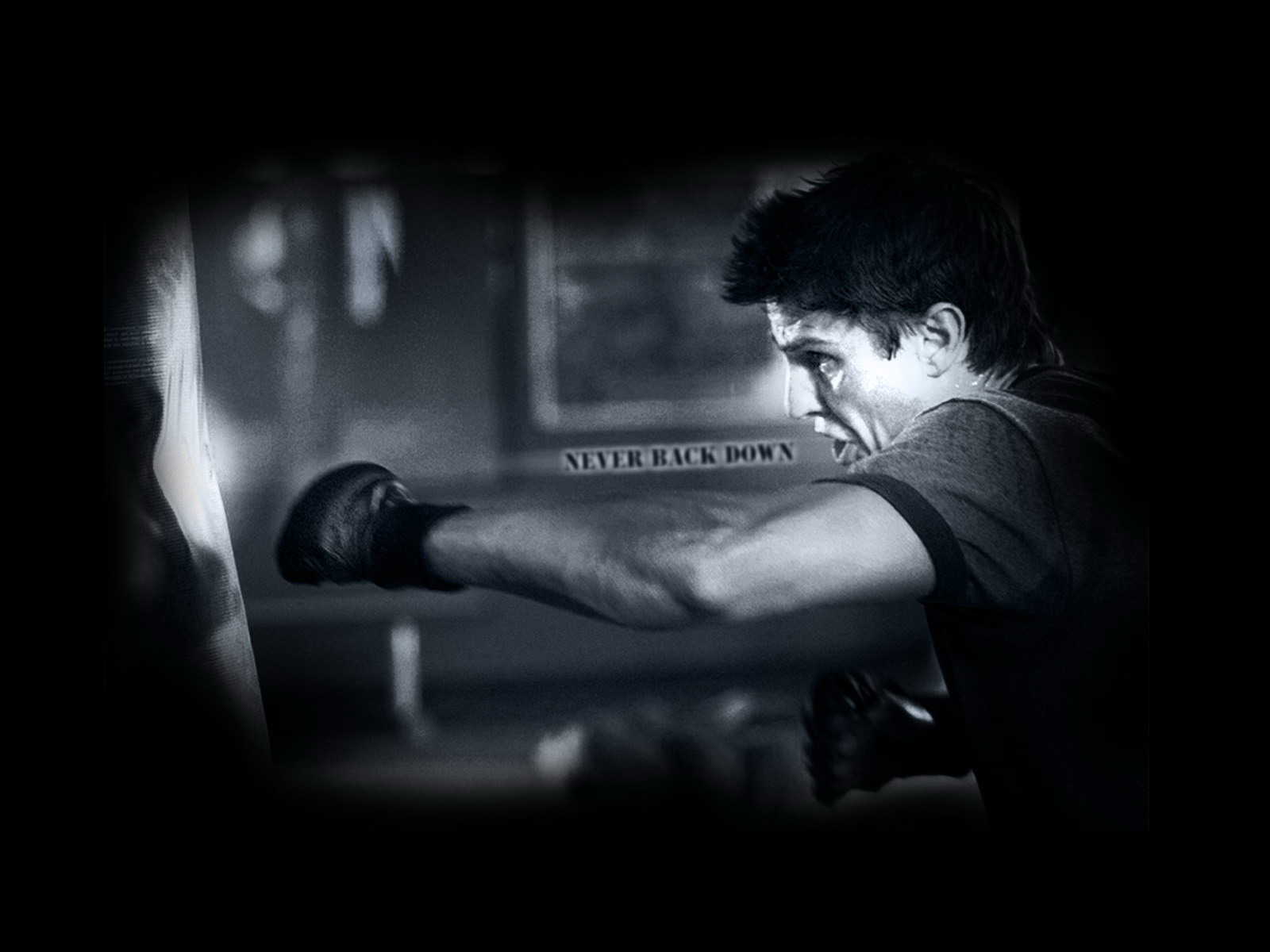 Never Back Down , HD Wallpaper & Backgrounds