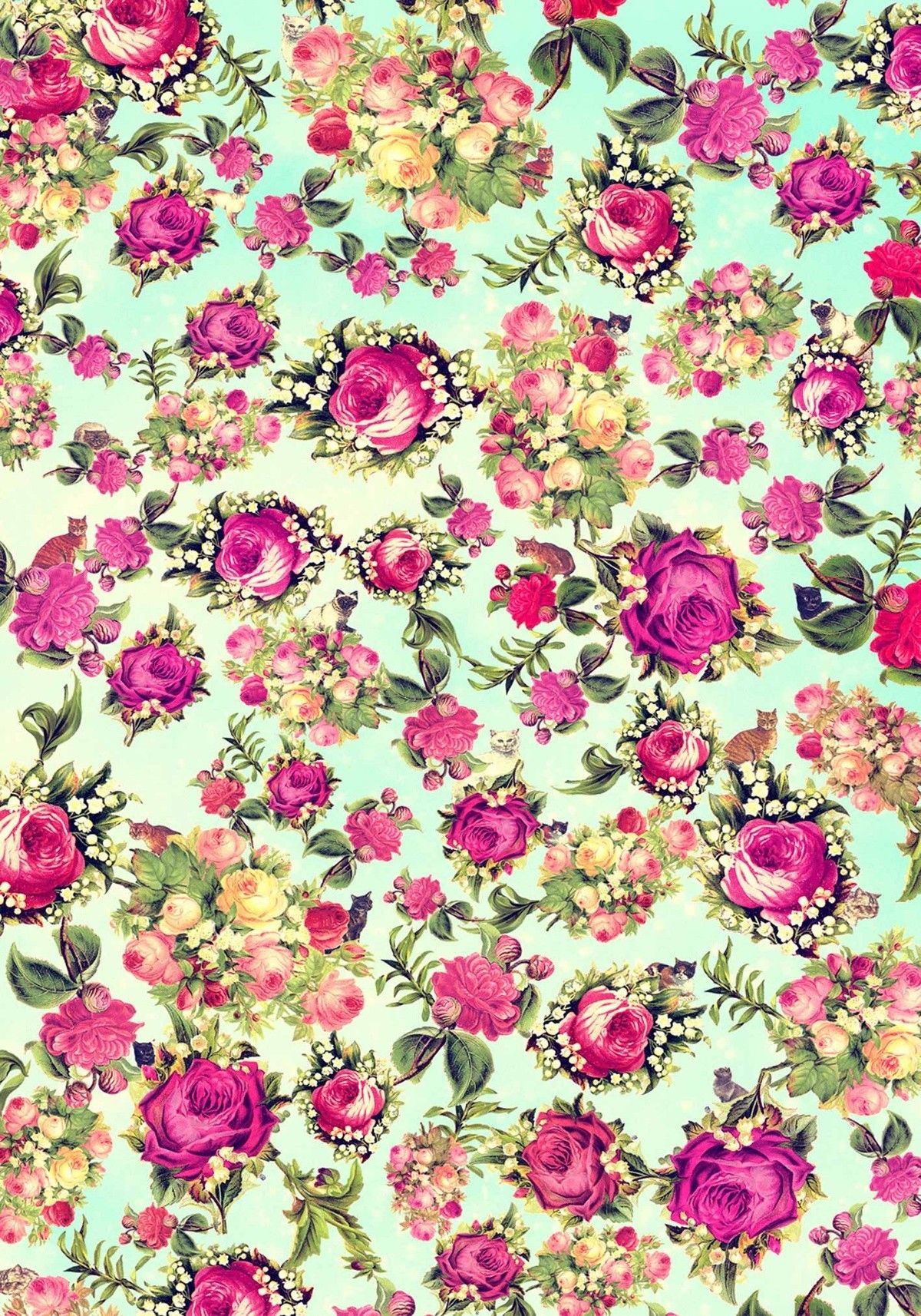 Pretty Wallpapers, Cellphone Wallpaper, Iphone Wallpaper, - Rose , HD Wallpaper & Backgrounds
