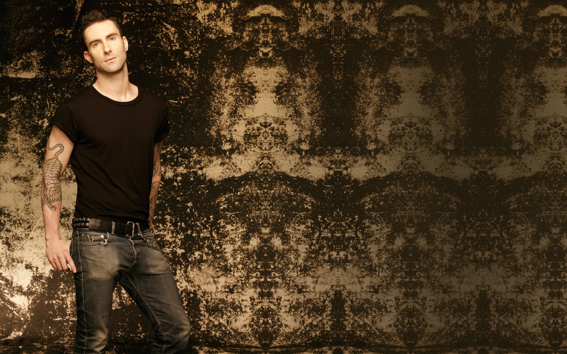 Adam Levine Hd Wallpaper5 - Adam Levine On The Voice , HD Wallpaper & Backgrounds