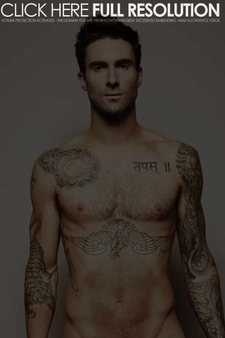 Adam Levine Tattoos Wallpapers Hd - Adam Levine , HD Wallpaper & Backgrounds