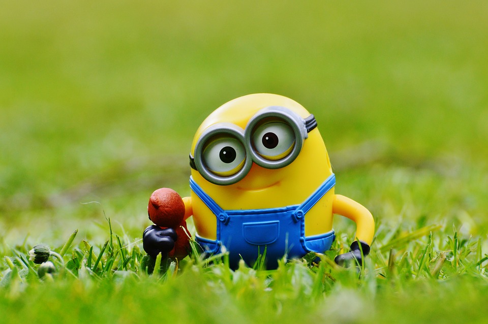 Minion, Funny, Meadow, Bears, Cute, Toys - Minion Photography , HD Wallpaper & Backgrounds