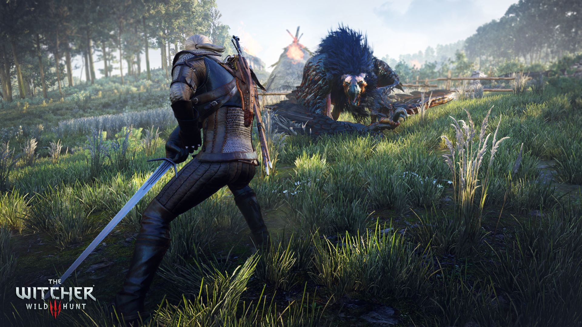 The Witcher - Witcher 3 Wild Hunt , HD Wallpaper & Backgrounds