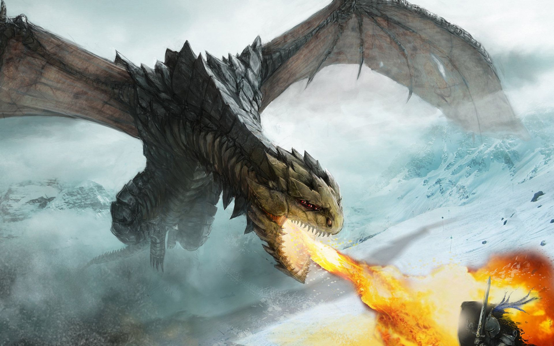 A Cool Wyvern - Knight Vs Dragon Art , HD Wallpaper & Backgrounds