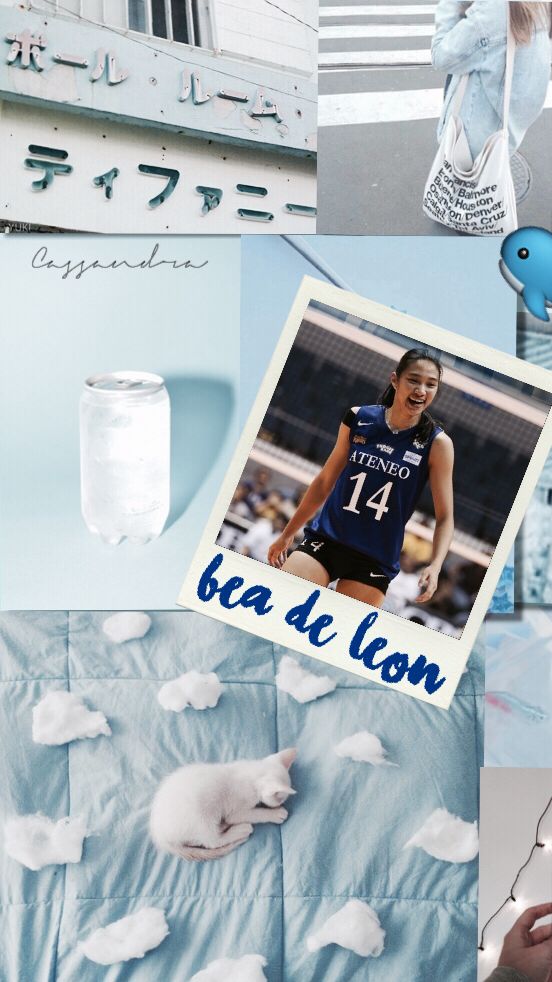 Bea De Leon Lockscreen Give Creds - Pastel Blue Aesthetic Cat , HD Wallpaper & Backgrounds