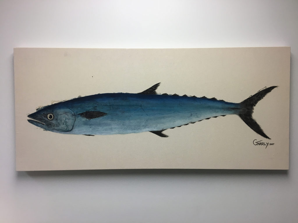 Portfolio - Albacore Fish , HD Wallpaper & Backgrounds