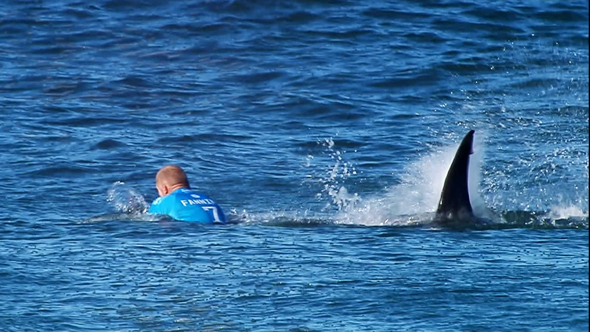 Surfer Mick Fanning Fights 'gnarly' Shark Attack During - Nantasket Beach Sharks , HD Wallpaper & Backgrounds