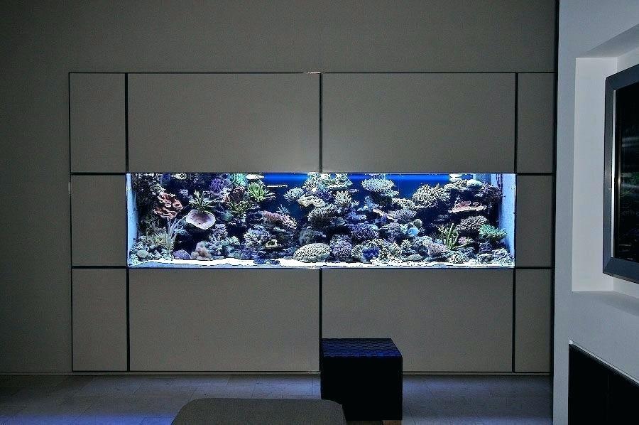 Paper Wall Aquarium For Sale Live Wallpaper - Built In Fish Tank Wall , HD Wallpaper & Backgrounds