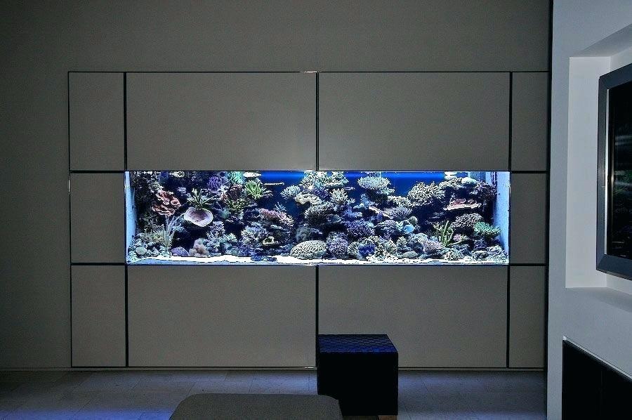 Paper Wall Aquarium For Sale Live Wallpaper Built In Fish
