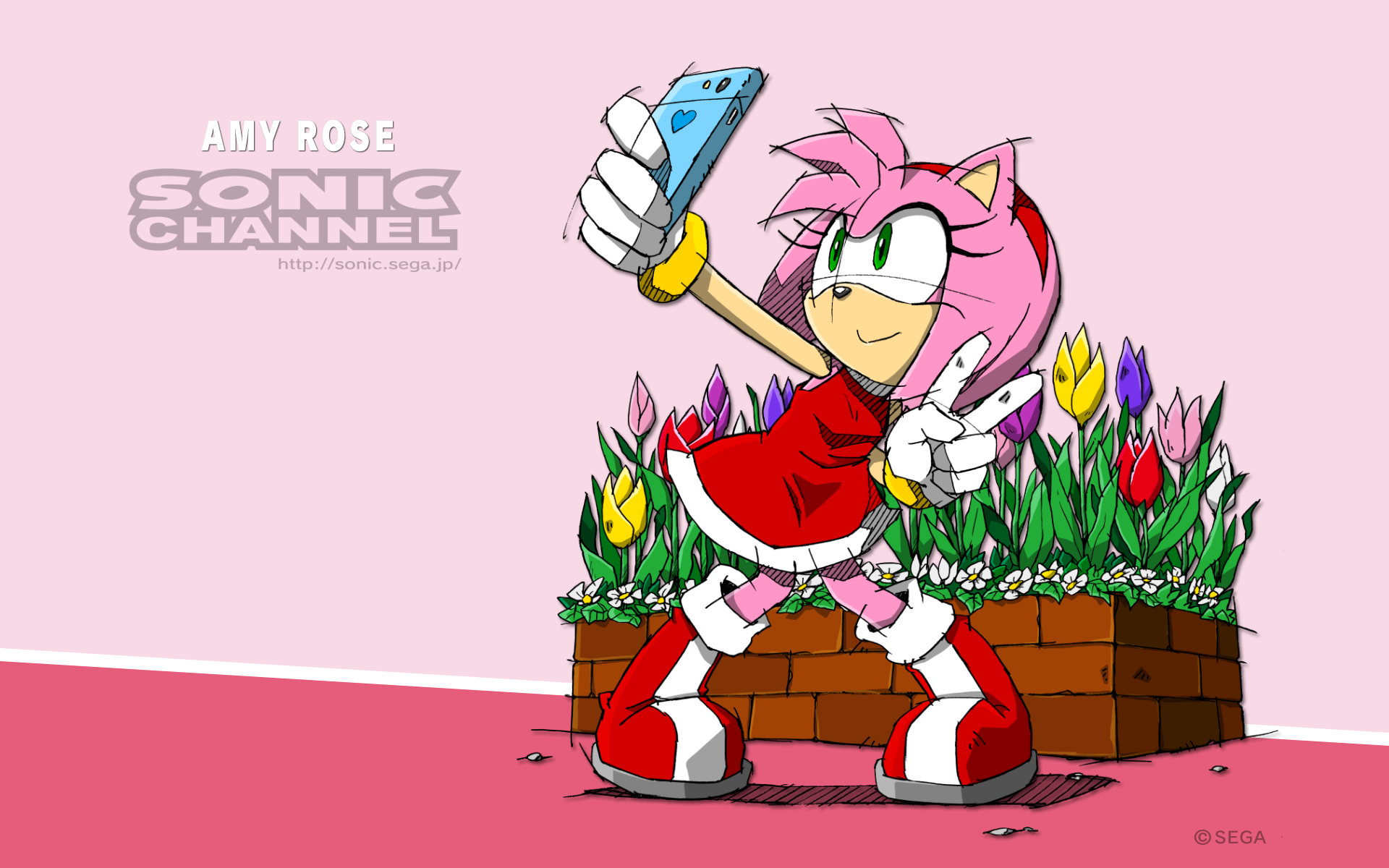 [download This Wallpaper For Pc] - Amy Rose Sonic Channel , HD Wallpaper & Backgrounds