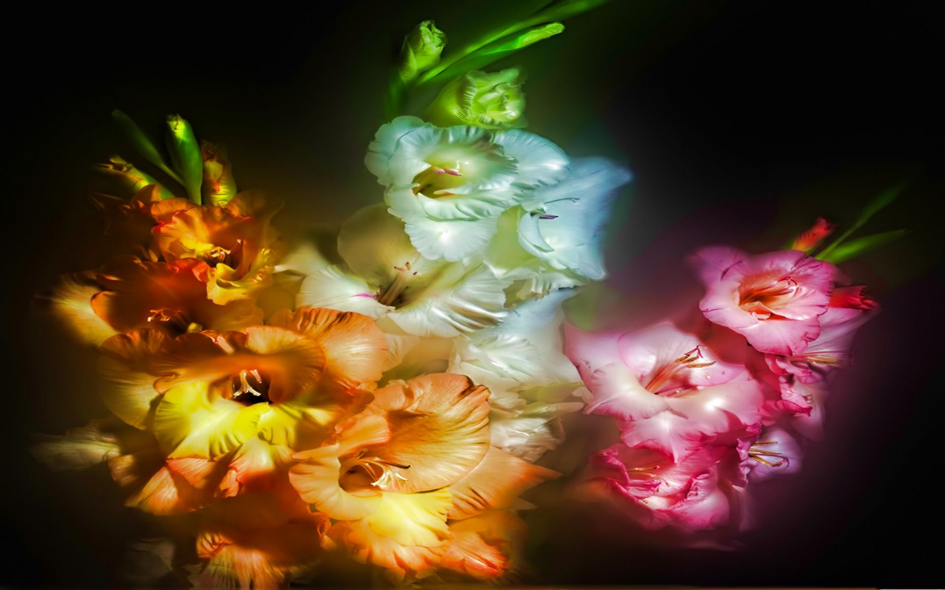 3d Digital Flower Art - Digital Flower Ful Hd , HD Wallpaper & Backgrounds