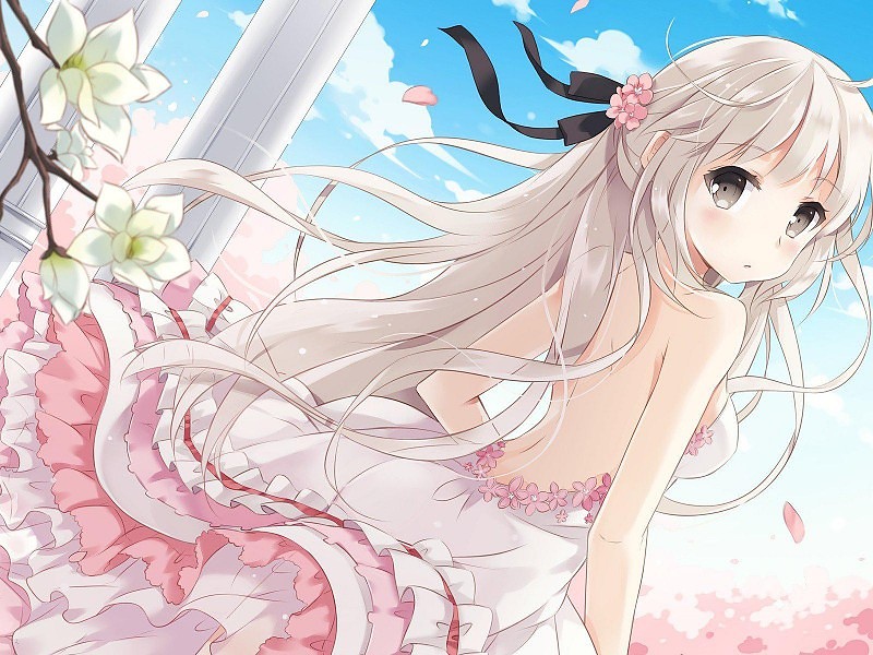 Anime Girl, Cute, Spring, Cherry Blossoms, Acg, Japanese - Anime Girl Pink Dress , HD Wallpaper & Backgrounds