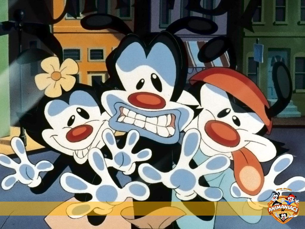 Love This Cartoon Animaniacs &lt - "animaniacs" (1993) , HD Wallpaper & Backgrounds