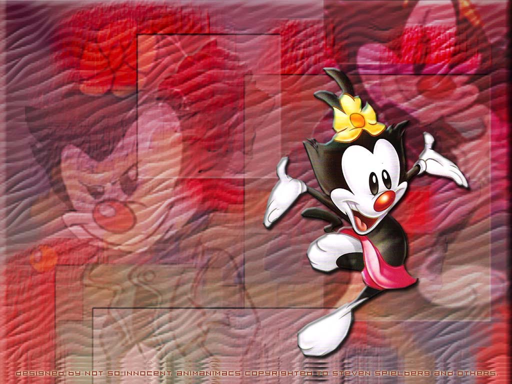 Animaniacs Images Dot's Layout Hd Wallpaper And Background - Dot Animaniacs , HD Wallpaper & Backgrounds