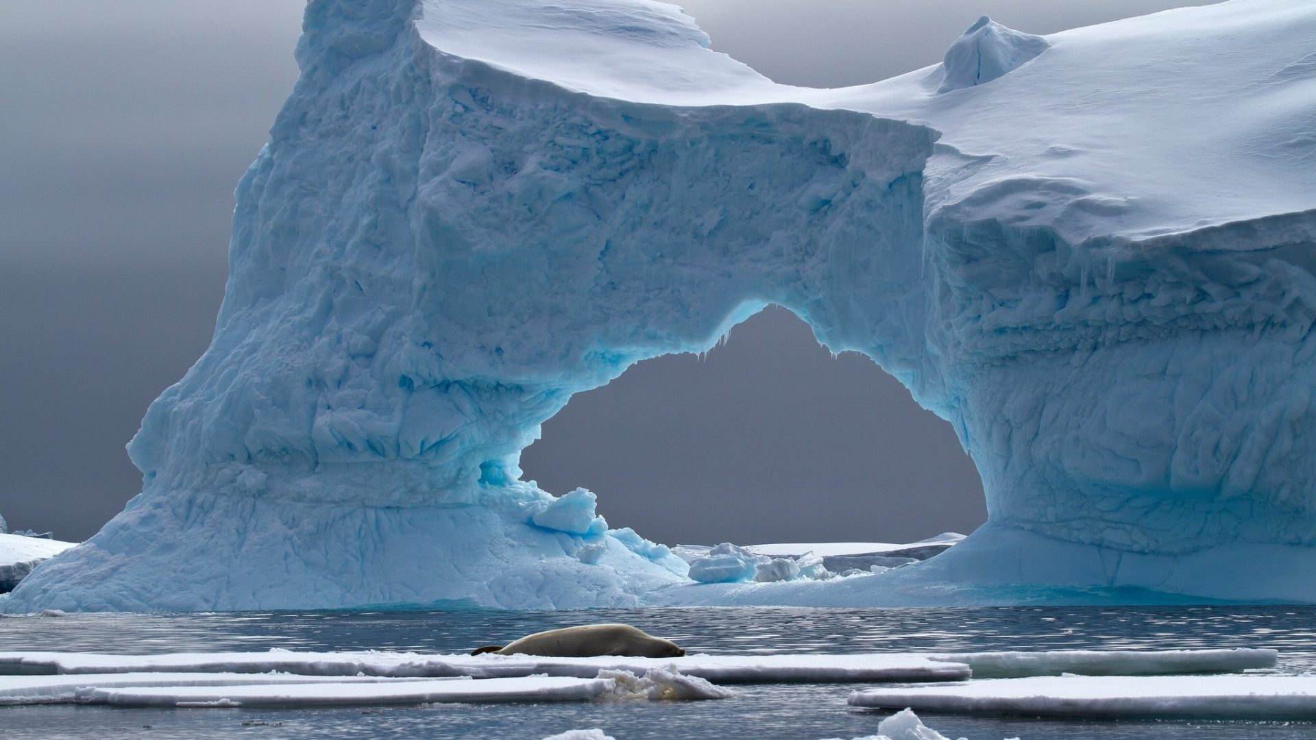 Antarctica - Iceberg , HD Wallpaper & Backgrounds