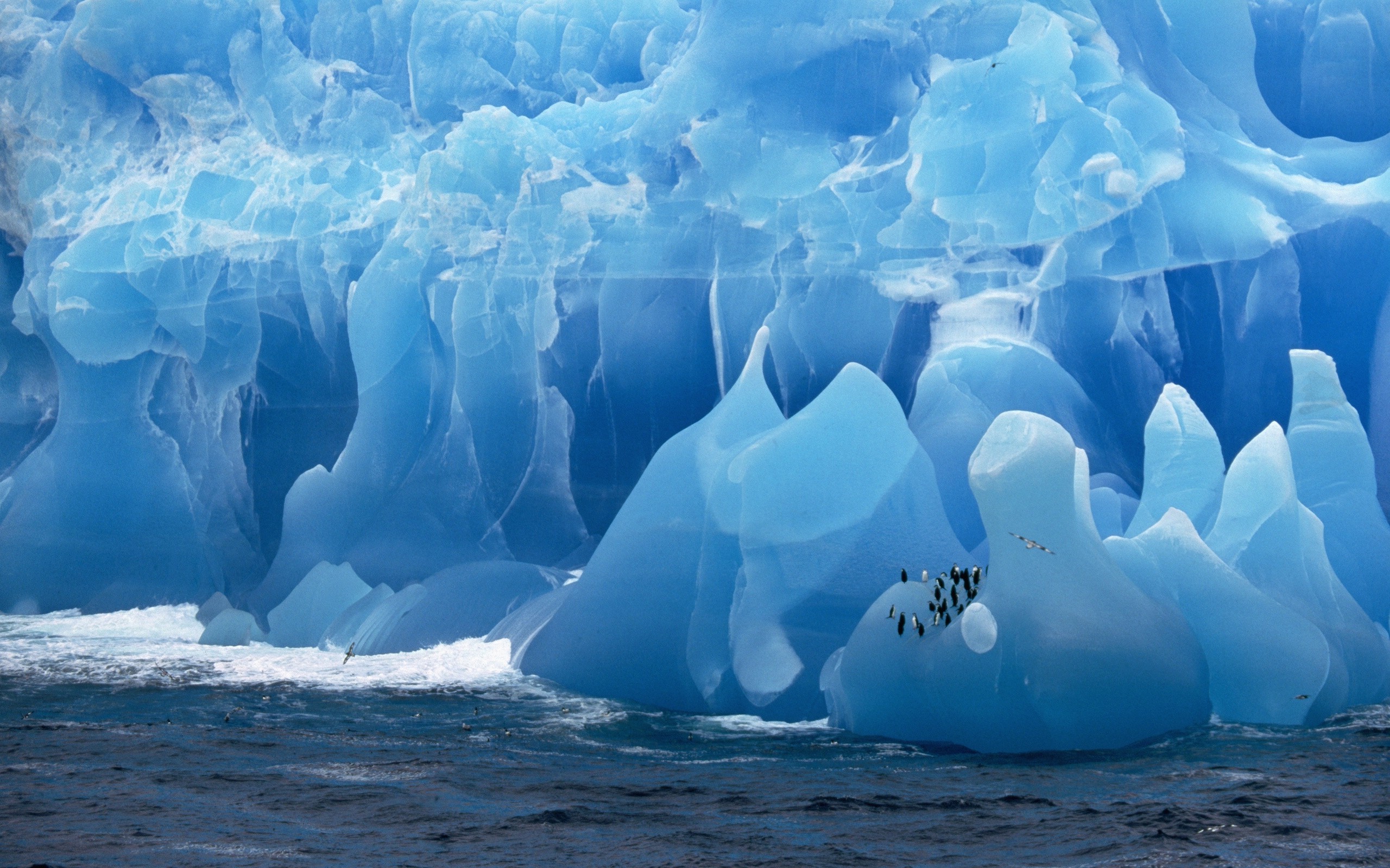 Antarctica Iceberg Birds Penguins Sea Wallpapers Hd - Hd Antarctica , HD Wallpaper & Backgrounds