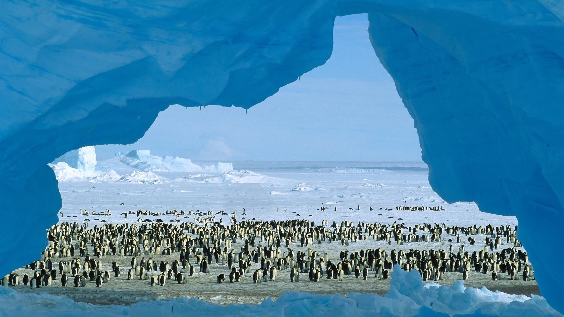 Windows Desktop Images,antarctica, High Definiton, - Best Place In Antarctica , HD Wallpaper & Backgrounds