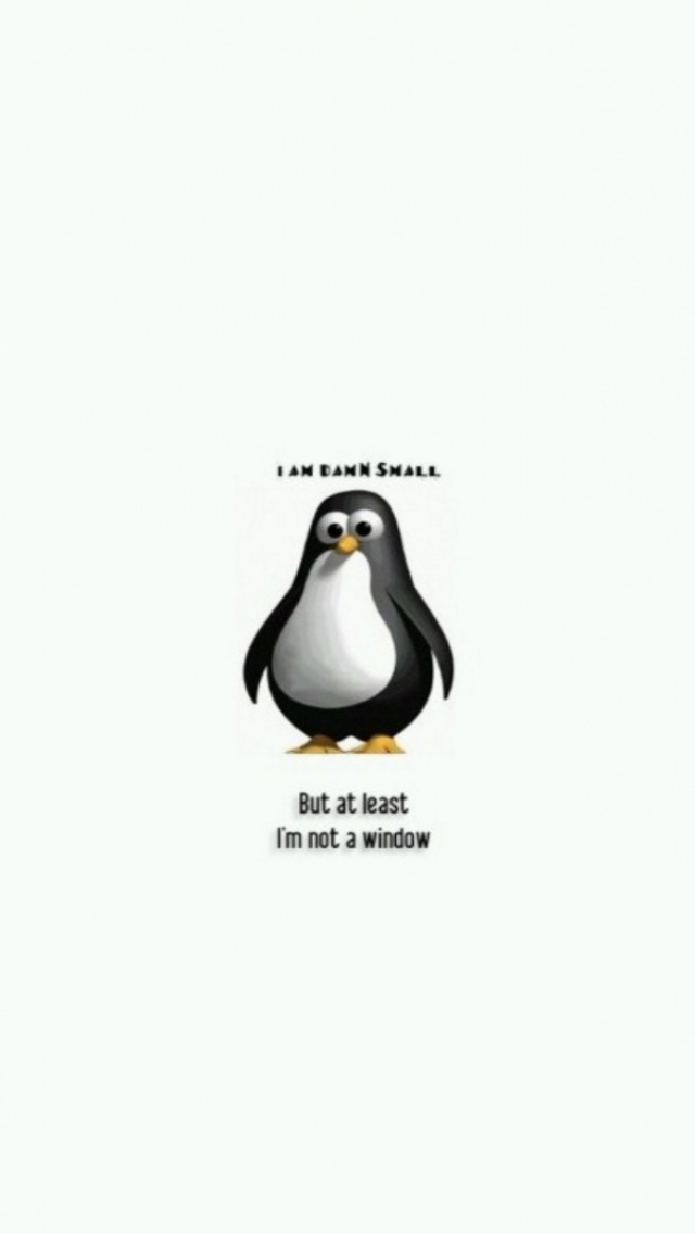 Damn Small Linux Funny Tux Desktop Wallpaper - Gentoo Penguin , HD Wallpaper & Backgrounds
